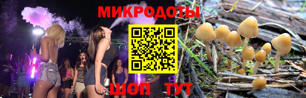 Галлюциногенные грибы мицелий  Вход с VPN  Волоколамск  Псилоцибиновые грибы мицелий 